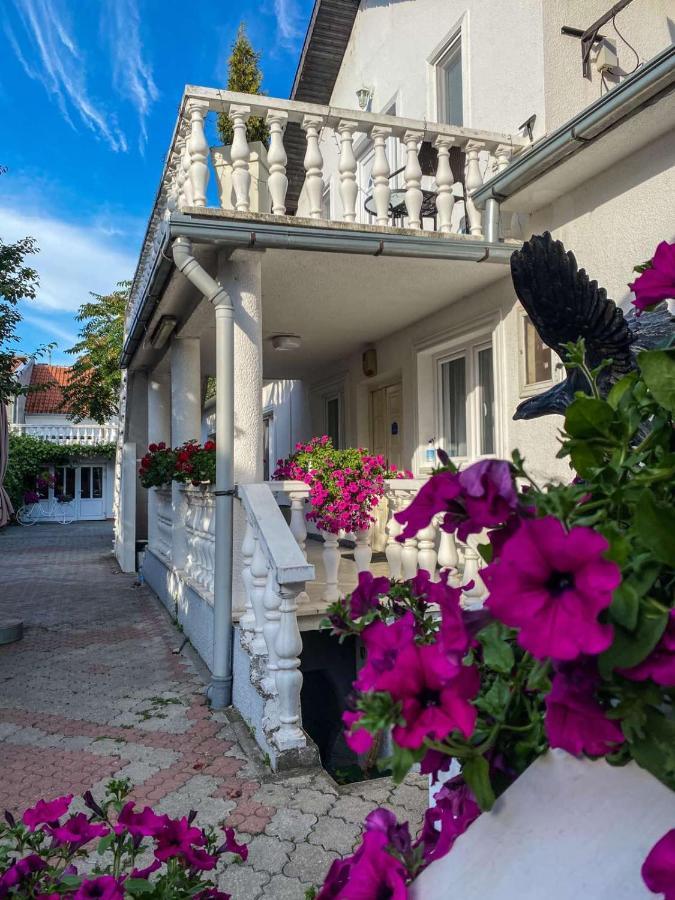 Apartments Vila White House Pančevo Zewnętrze zdjęcie